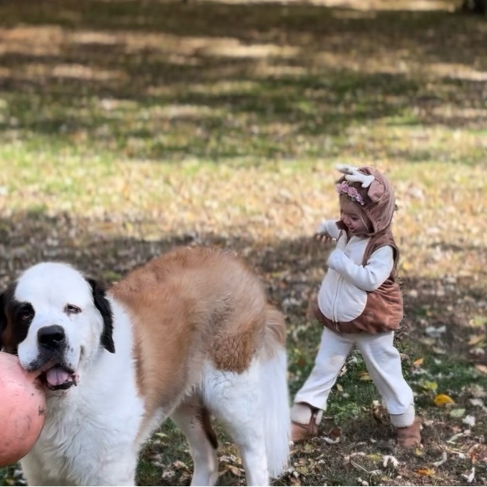 Brown and Cream Deer Costume - 2T